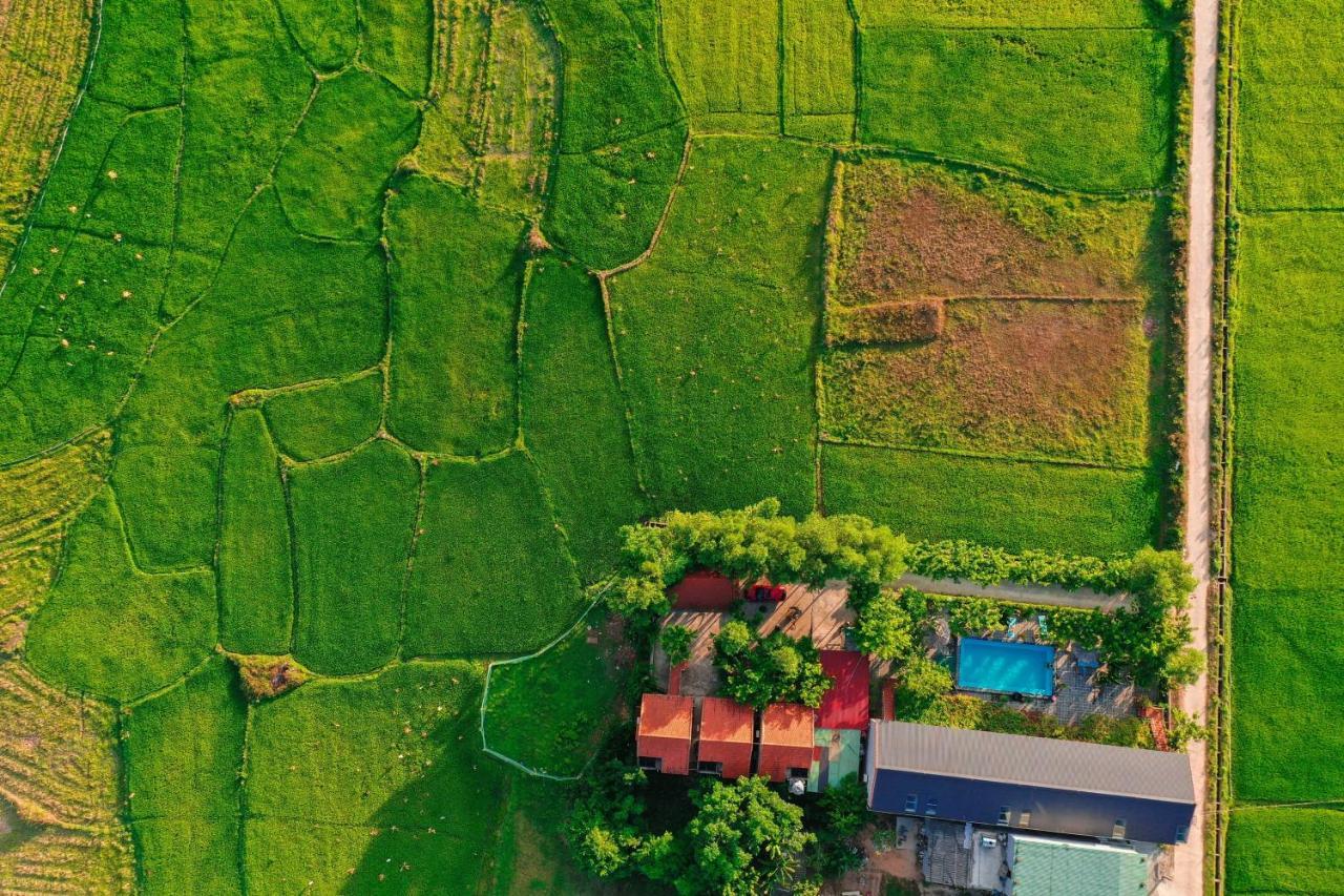 Jungle Boss Travel Lodge Phong Nha Exteriér fotografie